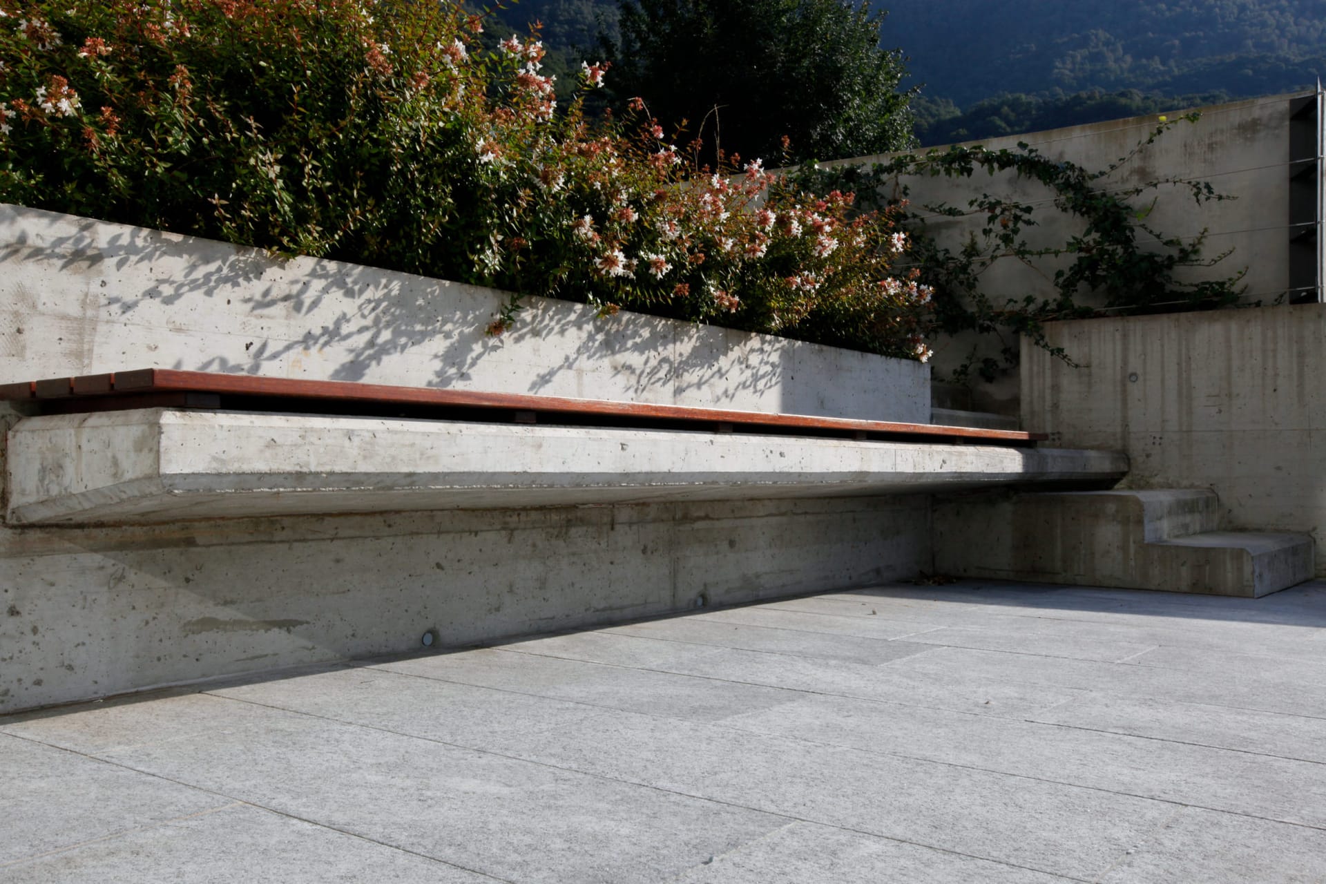 casa comunale — Cadenazzo — 2009 — foto 8