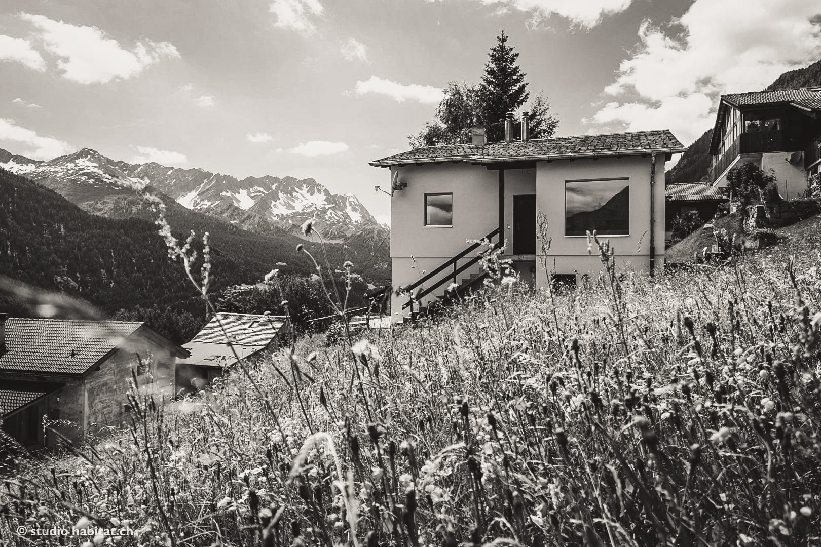 casa Cresta — Quinto — 2015